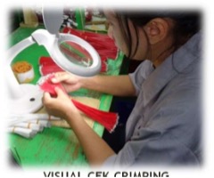 visual-check-crimping